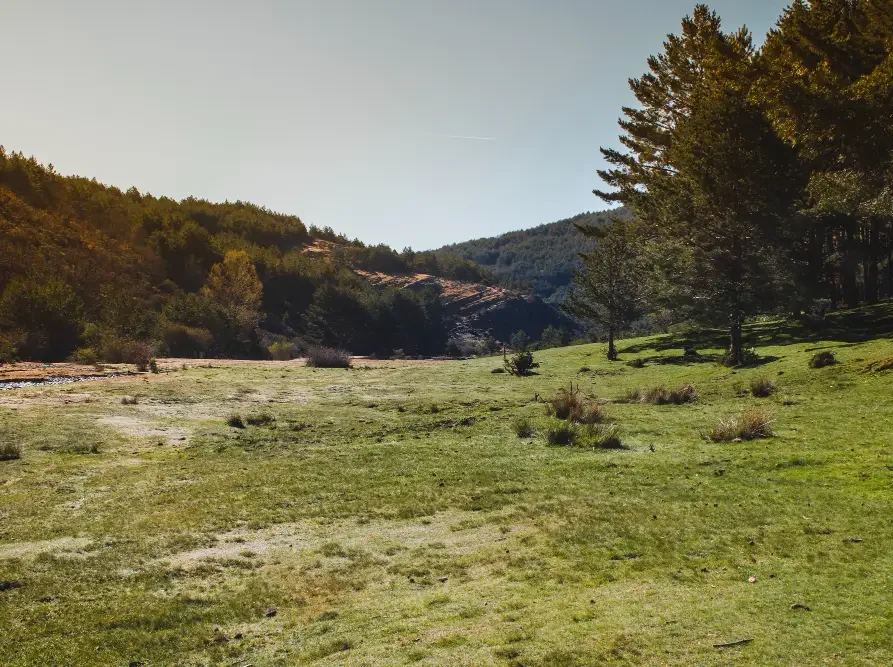 camping dar el bondek